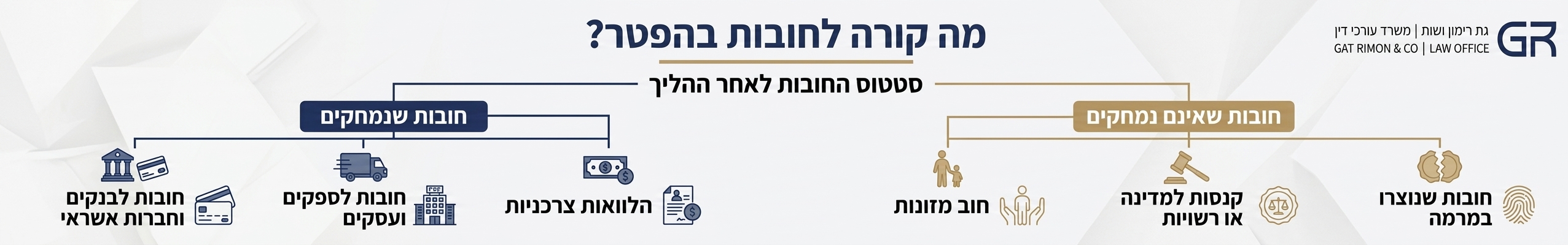 אינפוגרפיקה