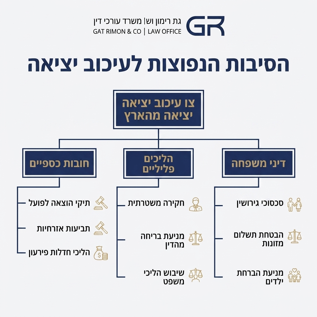 אינפוגרפיקה